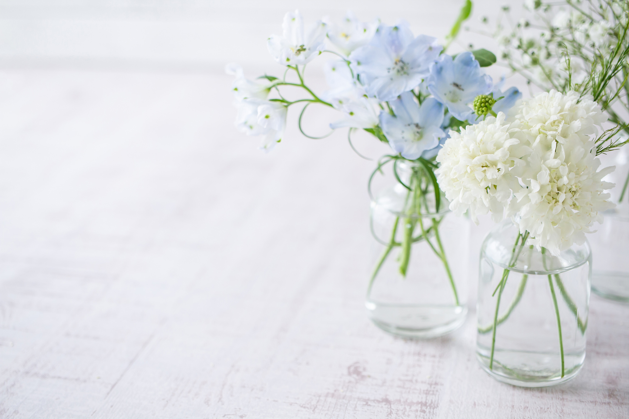 Living with flowers. Flower background.