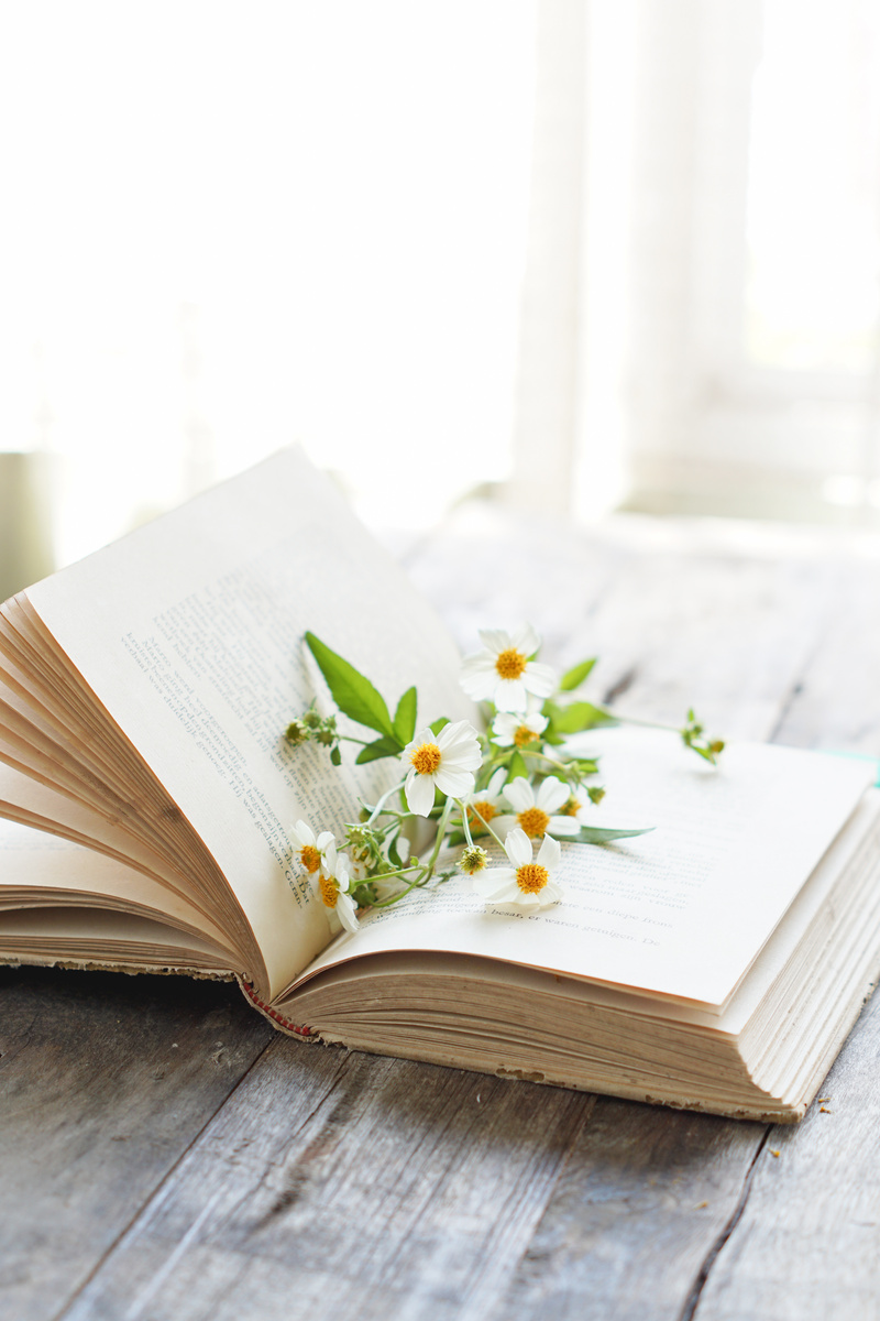 Flowers on Book Pages