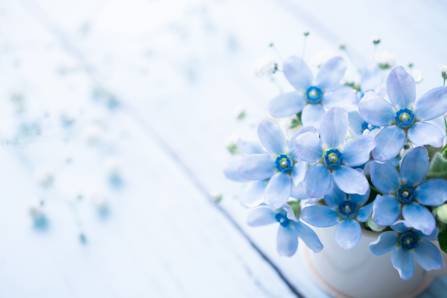 Bouquet of blue flowers